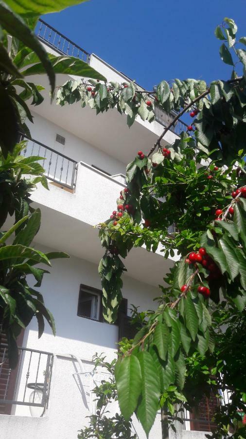 וודיצה Apartments Lans מראה חיצוני תמונה